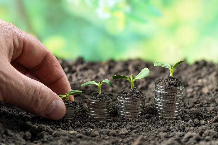 A növekvő kockázatok mellé még a felzárkózás is lassul a magyar agráriumban